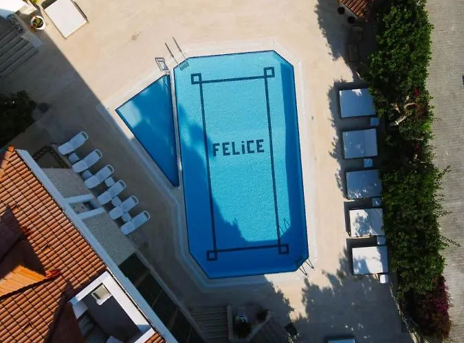 Felice